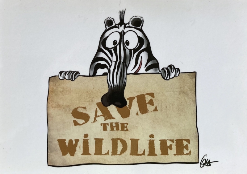 Save the wildlife